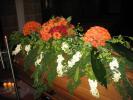 IMG_0087-1.jpg